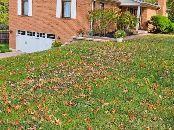 7156 Paddison Road, Anderson Twp, OH 45230