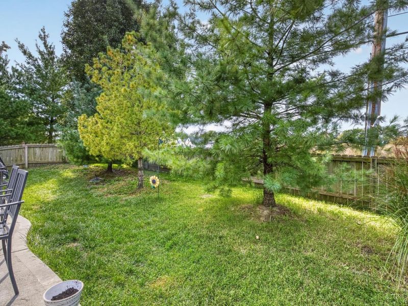 5 Marisha Court, Springboro, OH 45066 Photo 34
