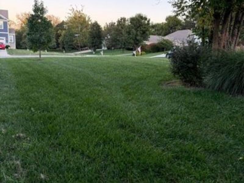 5 Marisha Court, Springboro, OH 45066 Photo 40