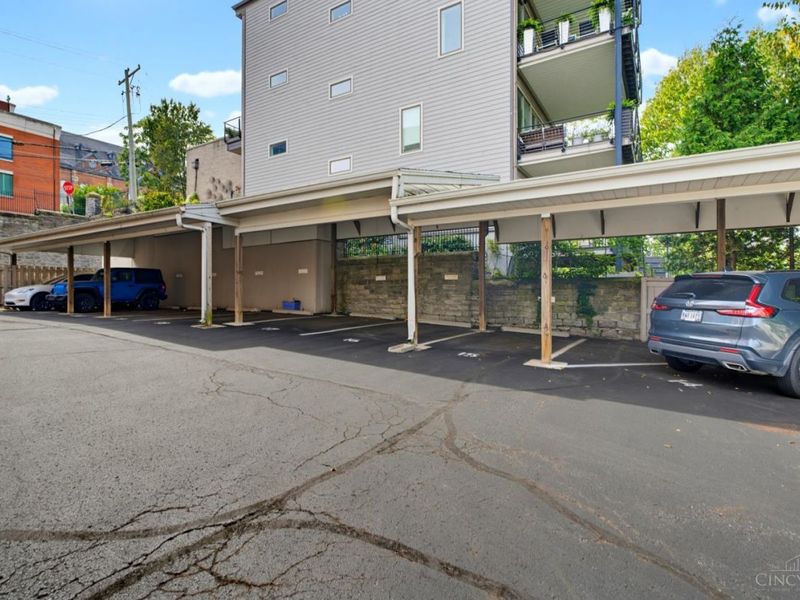 1125 St Gregory Street, Unit 103, Cincinnati, OH 45202 Photo 55