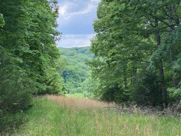 14 +/- AC Steeple Rock Drive , Defiance, MO 63341