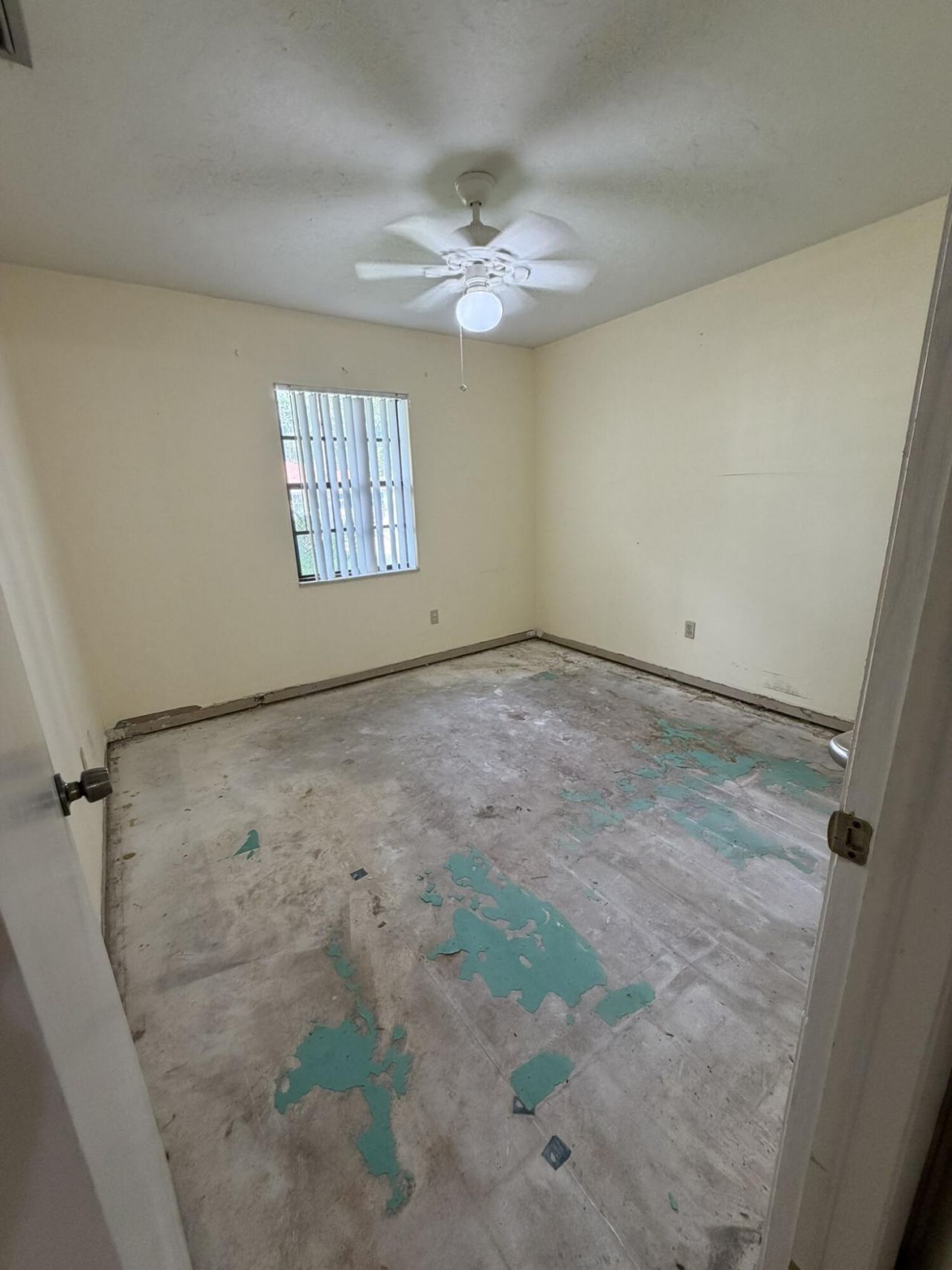 6088 Felter Street, Jupiter, FL 33458 Photo