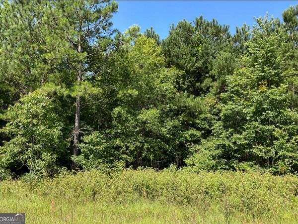 0 High Crest Lane, Hawkinsville, GA 31036
