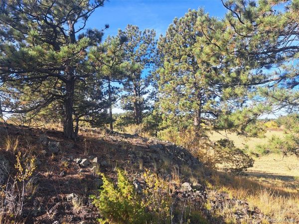 2151 County Road 403, Lake George, CO 80827