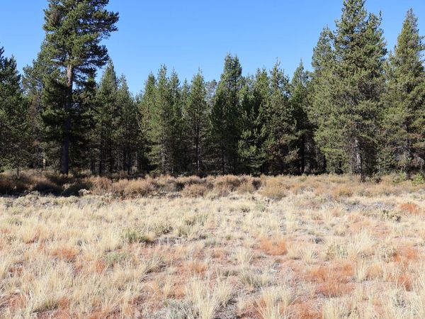 U.S. 97, Unit 201, Chemult, OR 97731