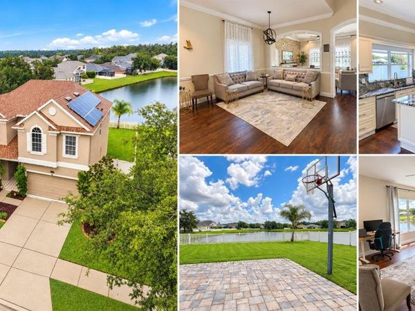 11117 ANCIENT FUTURES DRIVE , TAMPA, FL 33647