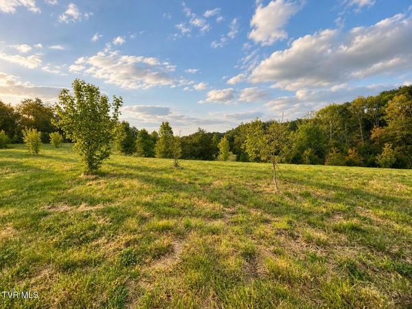 3050 Shackleford Road, Mosheim, TN 37818