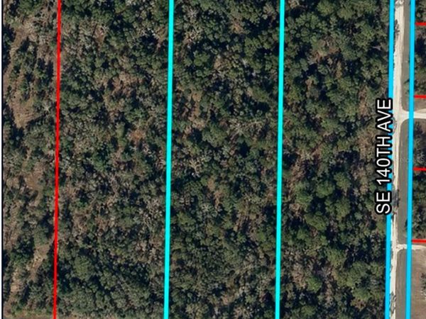 SE 30TH STREET , MORRISTON, FL 32668