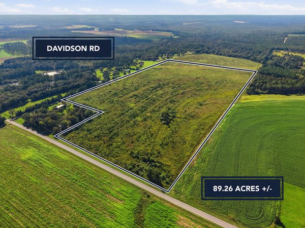 89.6 Acres Co Hwy 2A Road, DeFuniak Springs, FL 32433