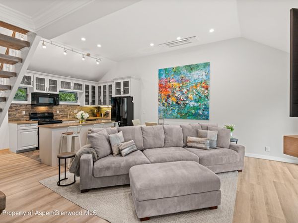 1195 E Cooper Avenue, Unit A, Aspen, CO 81611