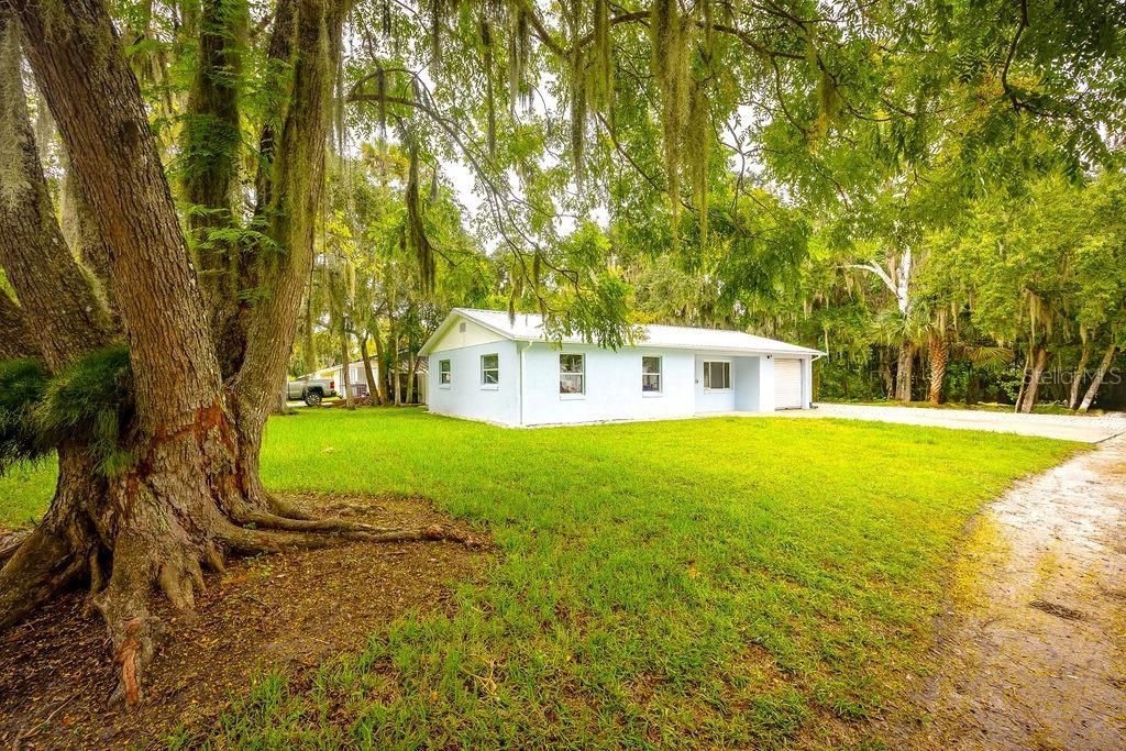 2229 Mango Tree Drive , Edgewater, FL 32141 Photo