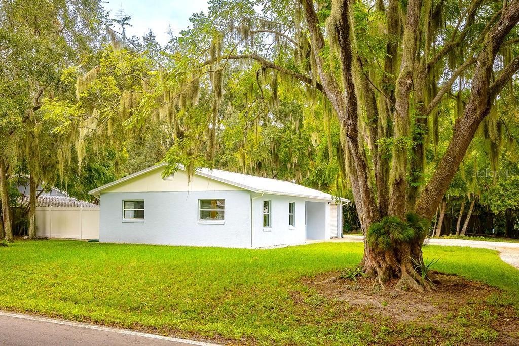 2229 Mango Tree Drive , Edgewater, FL 32141 Photo
