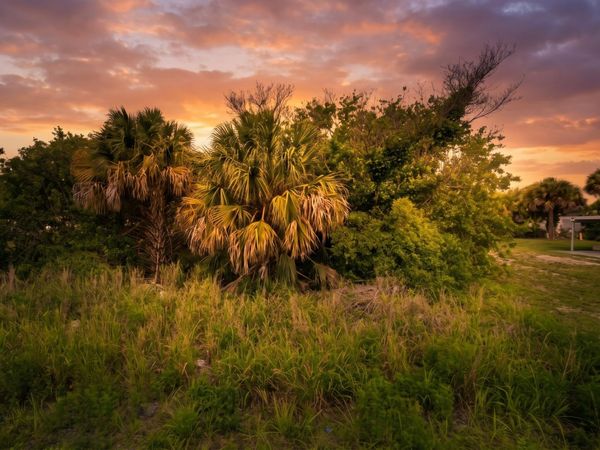 4225 25th Avenue, Vero Beach, FL 32967