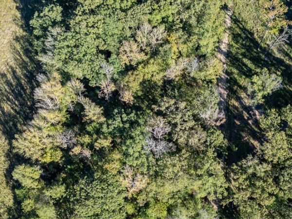 0 Victoria Road, Byhalia, MS 38611
