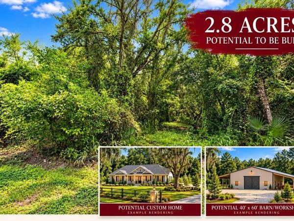 26714 BLOOMFIELD AVENUE, YALAHA, FL 34797