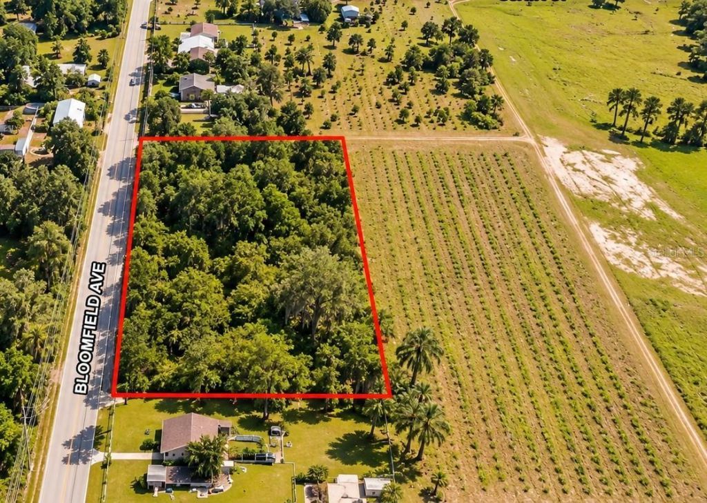 26714 Bloomfield Avenue, Yalaha, FL 34797 Photo