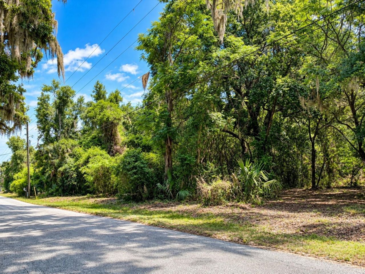 26714 Bloomfield Avenue, Yalaha, FL 34797 Photo