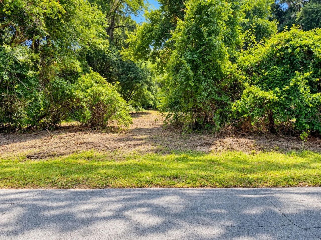 26714 Bloomfield Avenue, Yalaha, FL 34797 Photo