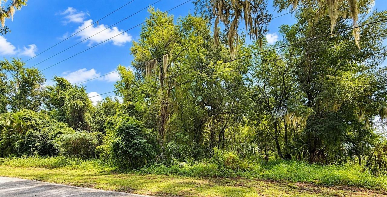 26714 Bloomfield Avenue, Yalaha, FL 34797 Photo
