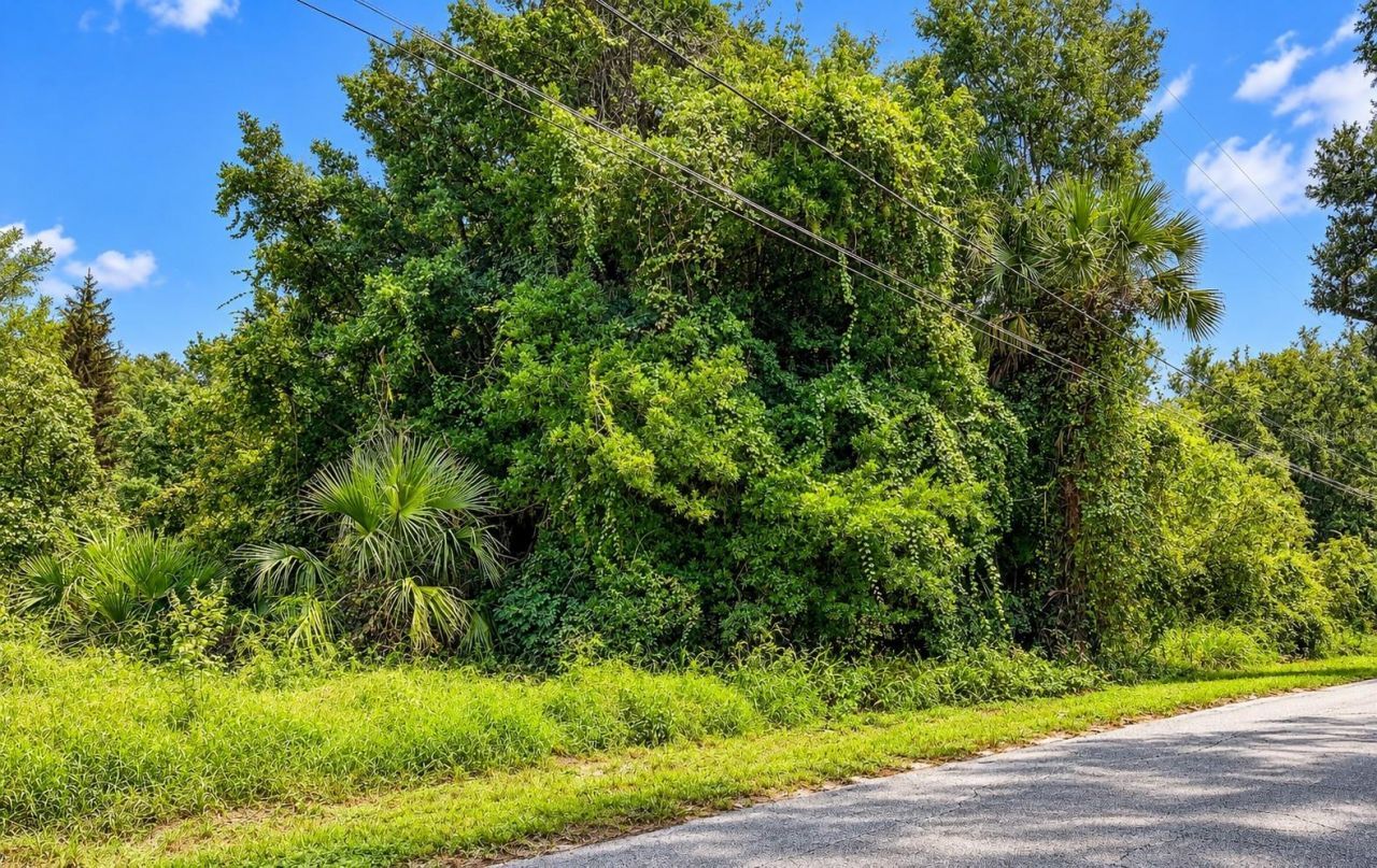 26714 Bloomfield Avenue, Yalaha, FL 34797 Photo