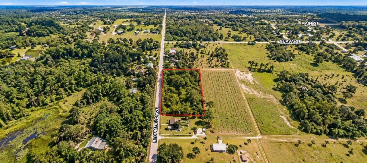 26714 Bloomfield Avenue, Yalaha, FL 34797 Photo