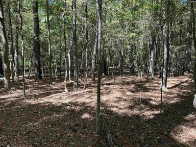 156 Indian Cove Road , Chapin, SC 29036