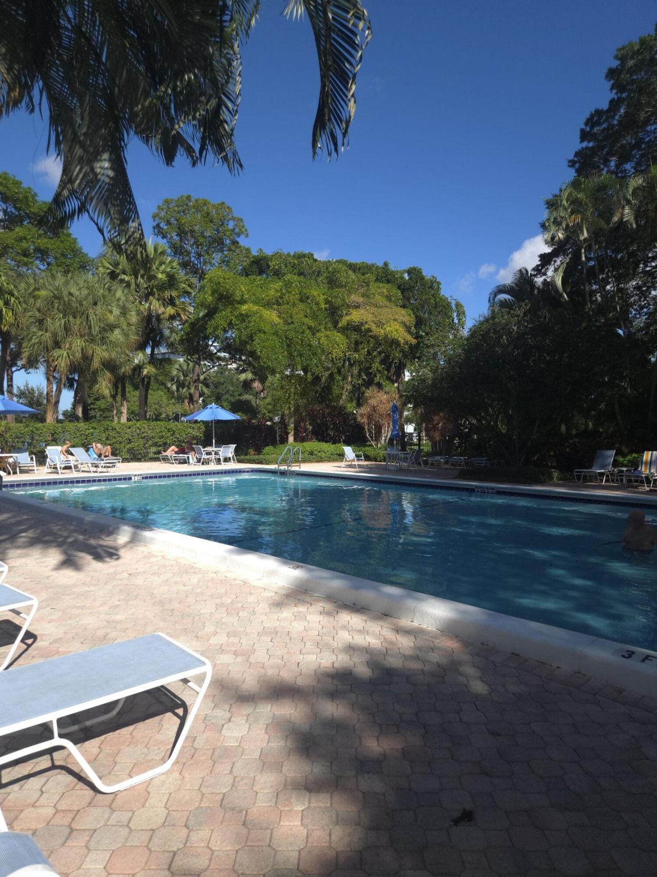 3150 N Course Lane, Unit 409, Pompano Beach, FL 33069 Photo