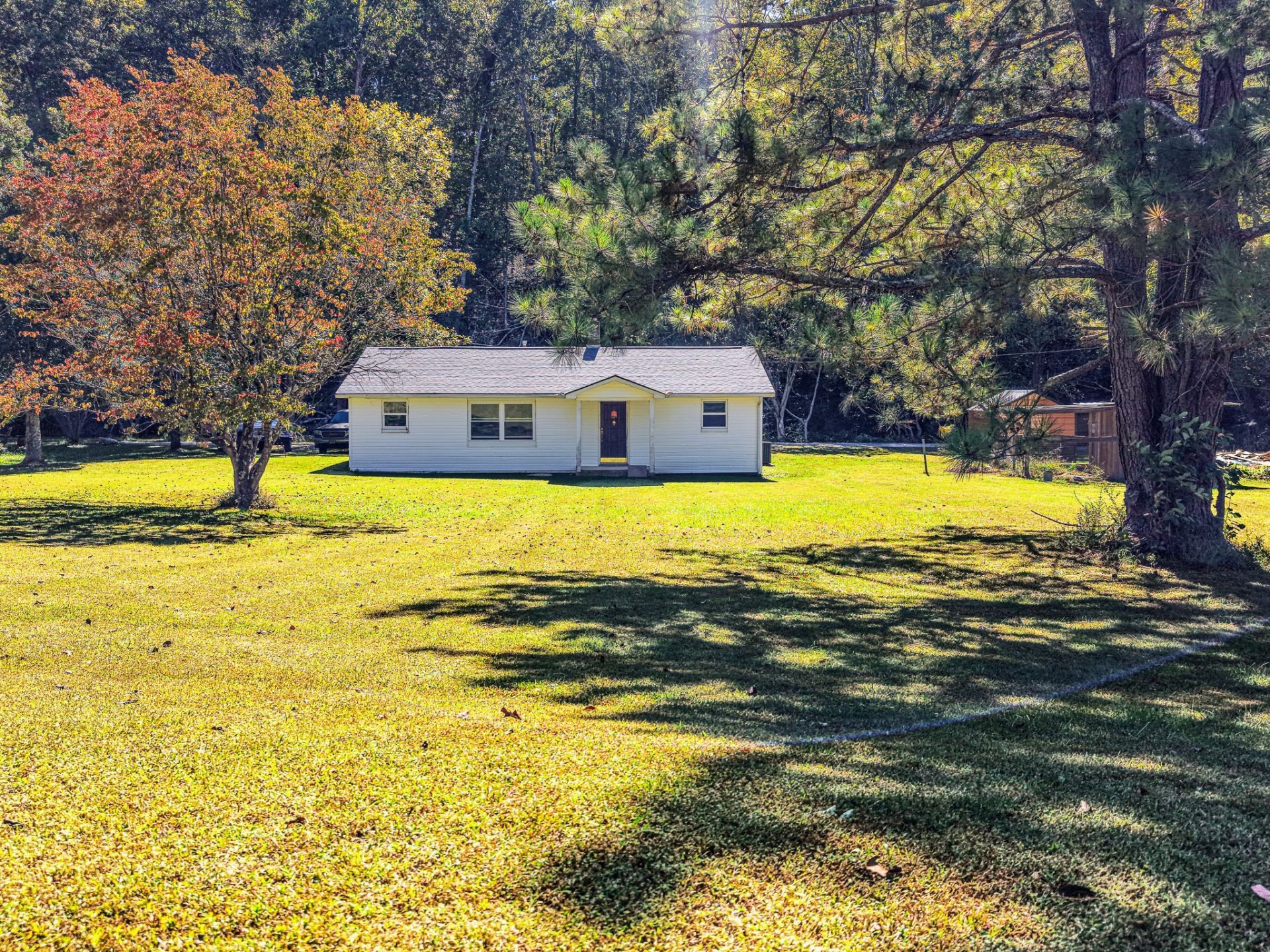 51 Ed Hankins Rd, Erin, TN 37061 Main Photo