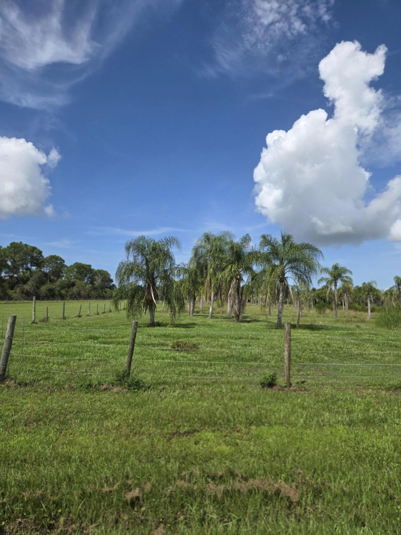 23101 SW Cardamine Street, Indiantown, FL 34956 Photo