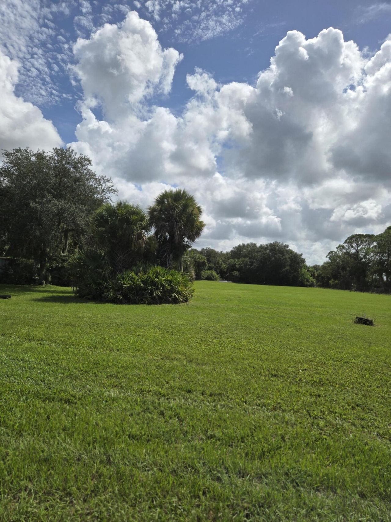 23101 SW Cardamine Street, Indiantown, FL 34956 Photo