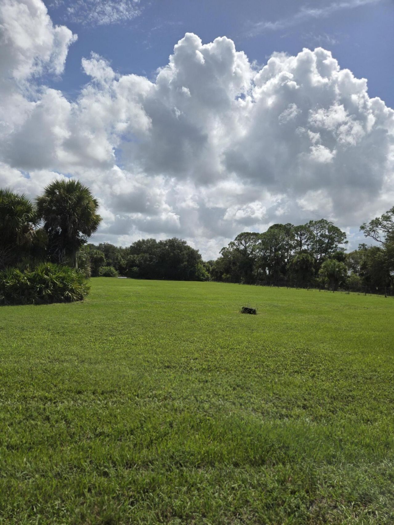 23101 SW Cardamine Street, Indiantown, FL 34956 Photo