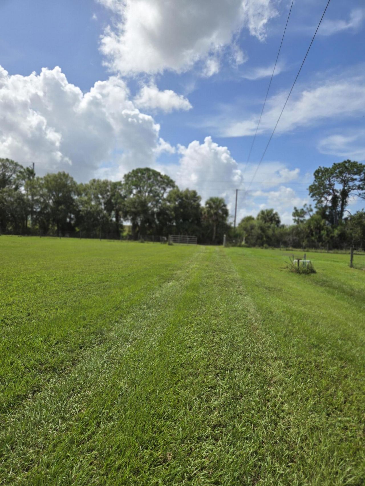 23101 SW Cardamine Street, Indiantown, FL 34956 Photo