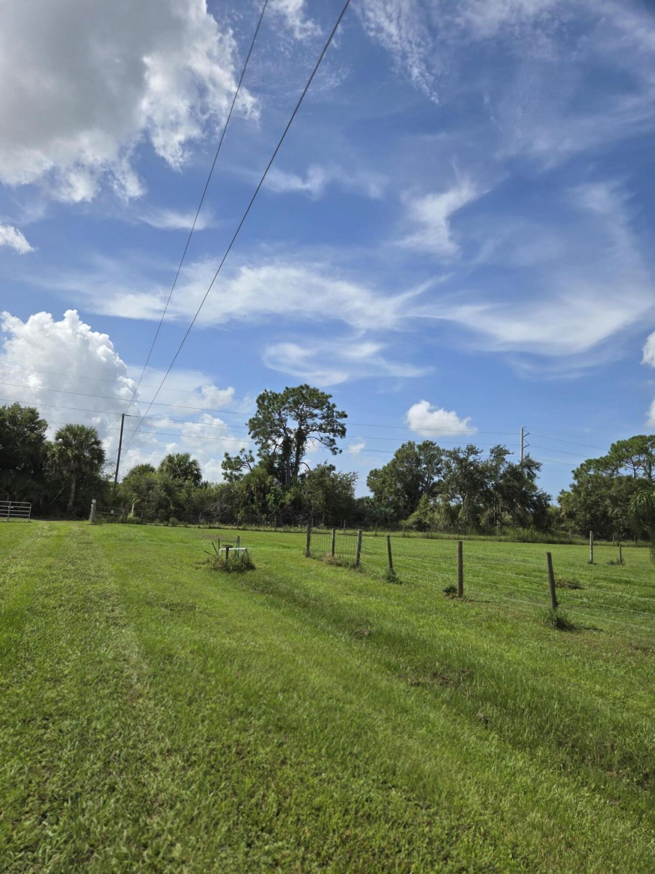 23101 SW Cardamine Street, Indiantown, FL 34956 Photo