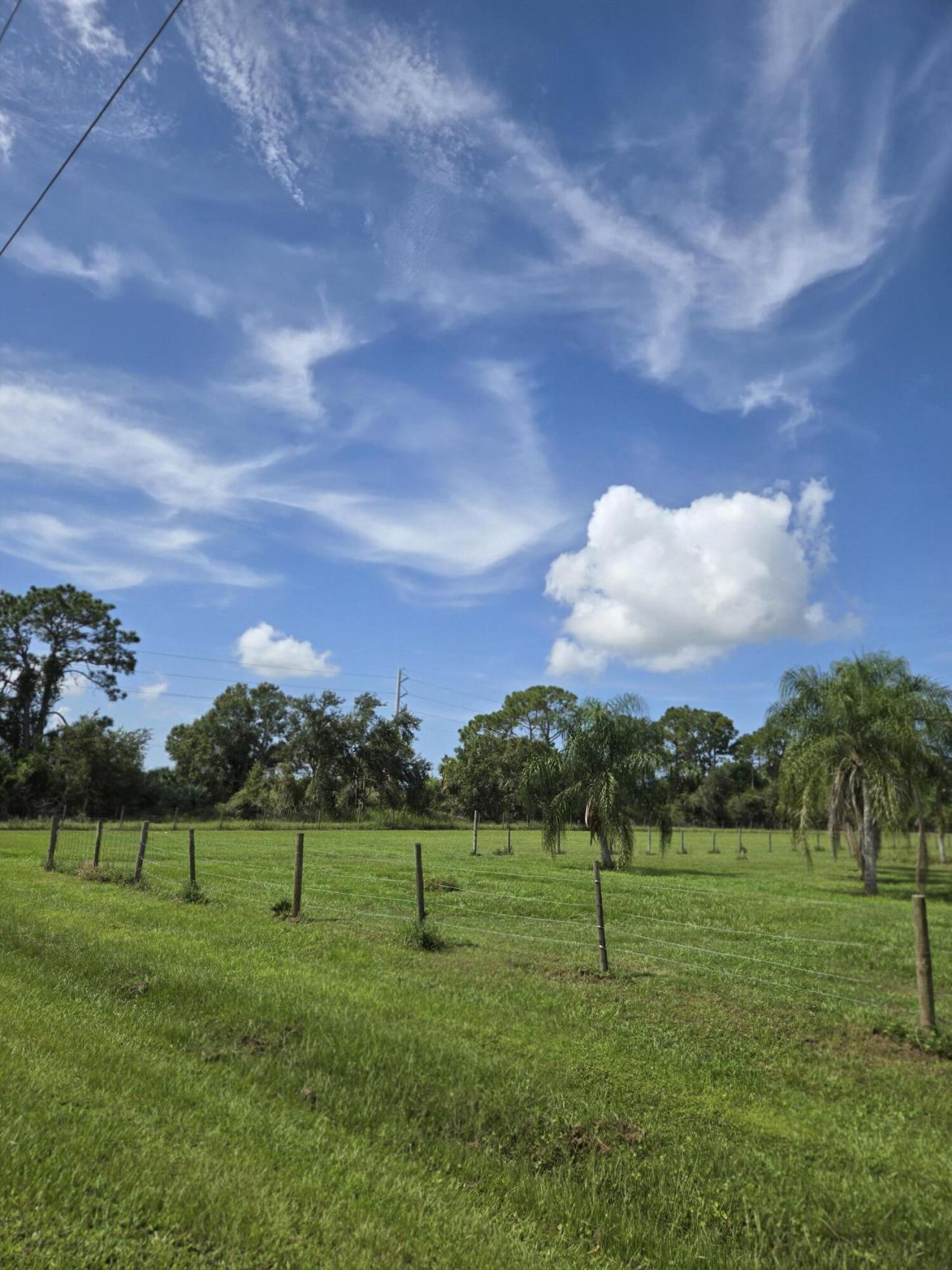 23101 SW Cardamine Street, Indiantown, FL 34956 Photo