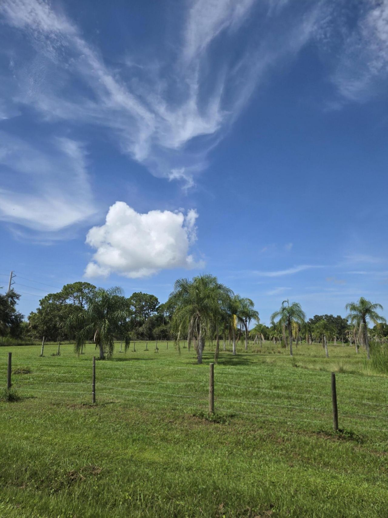 23101 SW Cardamine Street, Indiantown, FL 34956 Photo