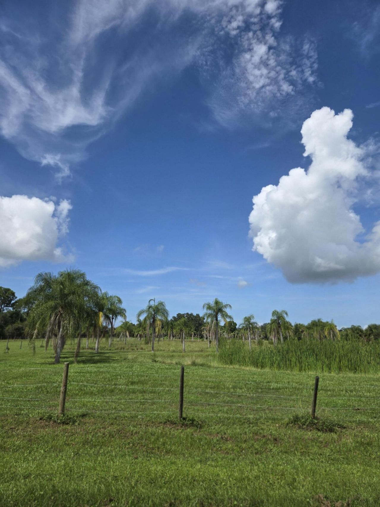 23101 SW Cardamine Street, Indiantown, FL 34956 Photo