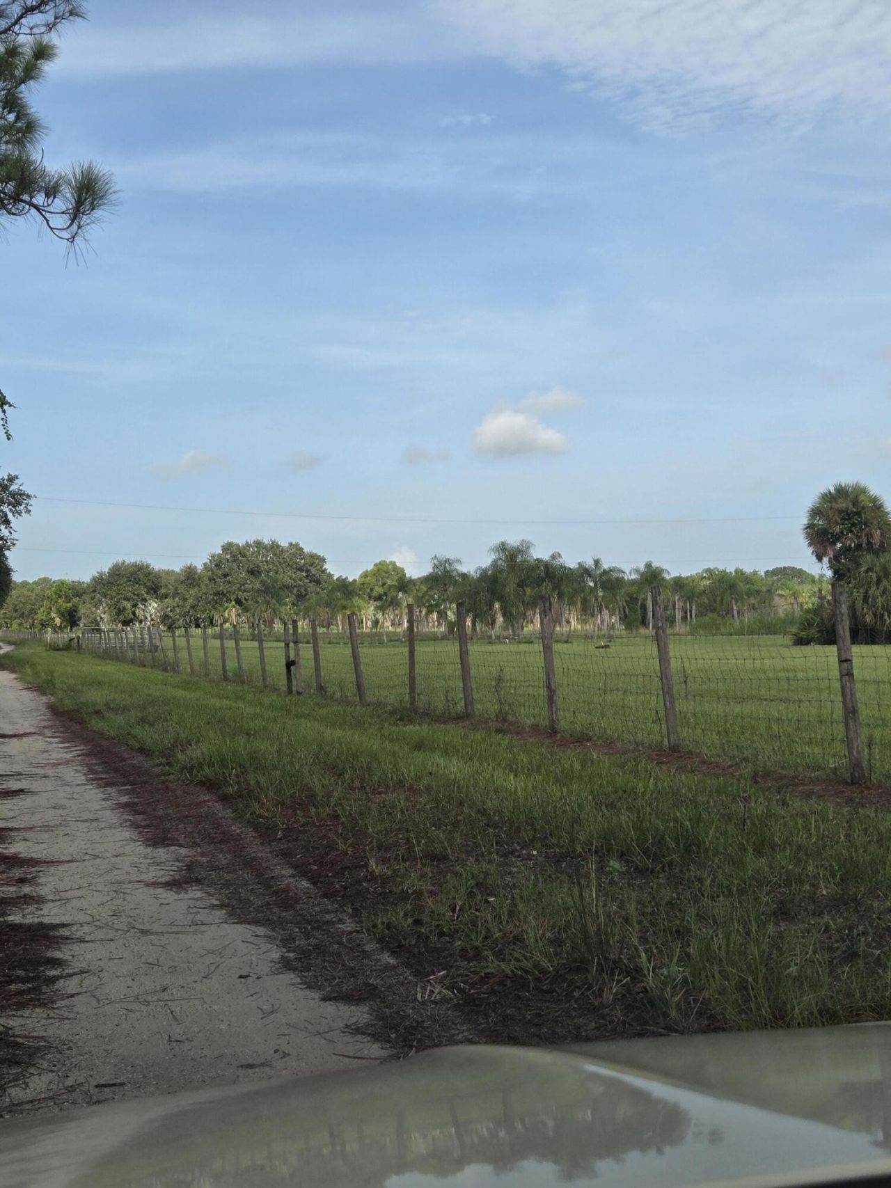 23101 SW Cardamine Street, Indiantown, FL 34956 Photo