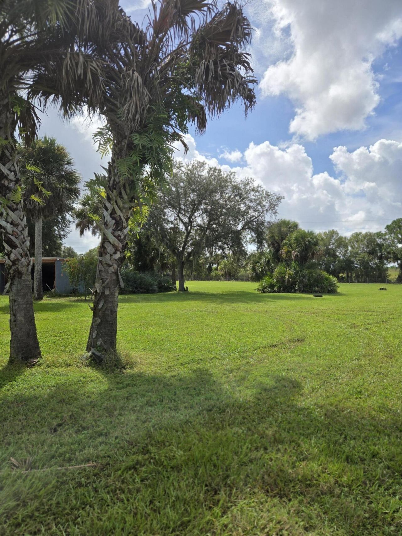 23101 SW Cardamine Street, Indiantown, FL 34956 Photo