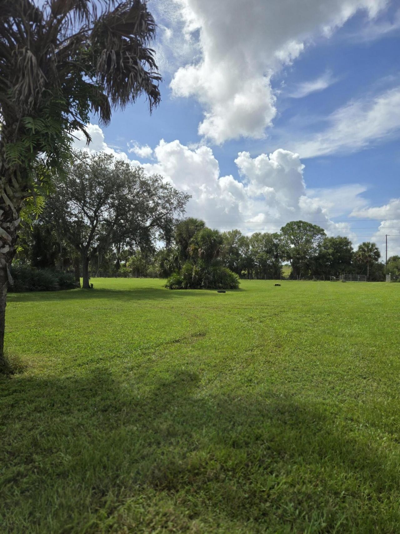 23101 SW Cardamine Street, Indiantown, FL 34956 Photo