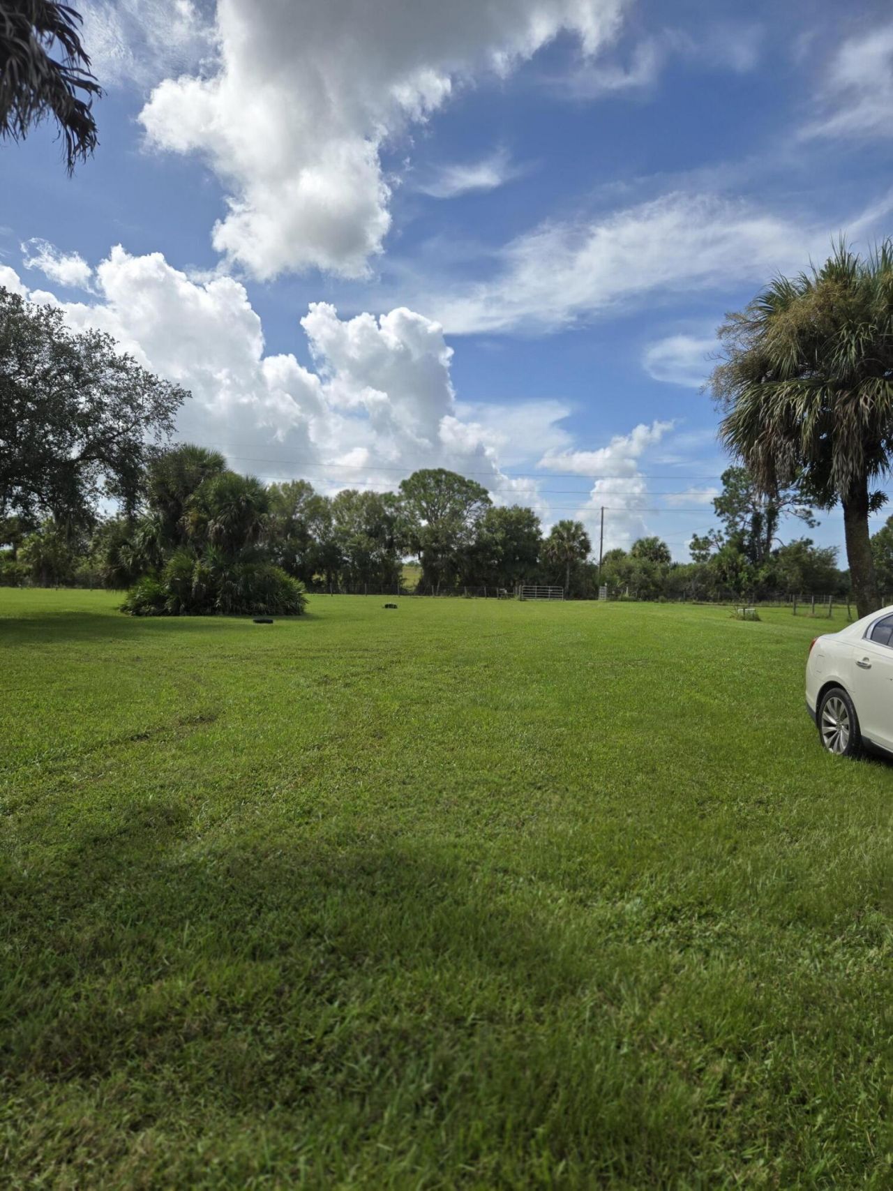 23101 SW Cardamine Street, Indiantown, FL 34956 Photo