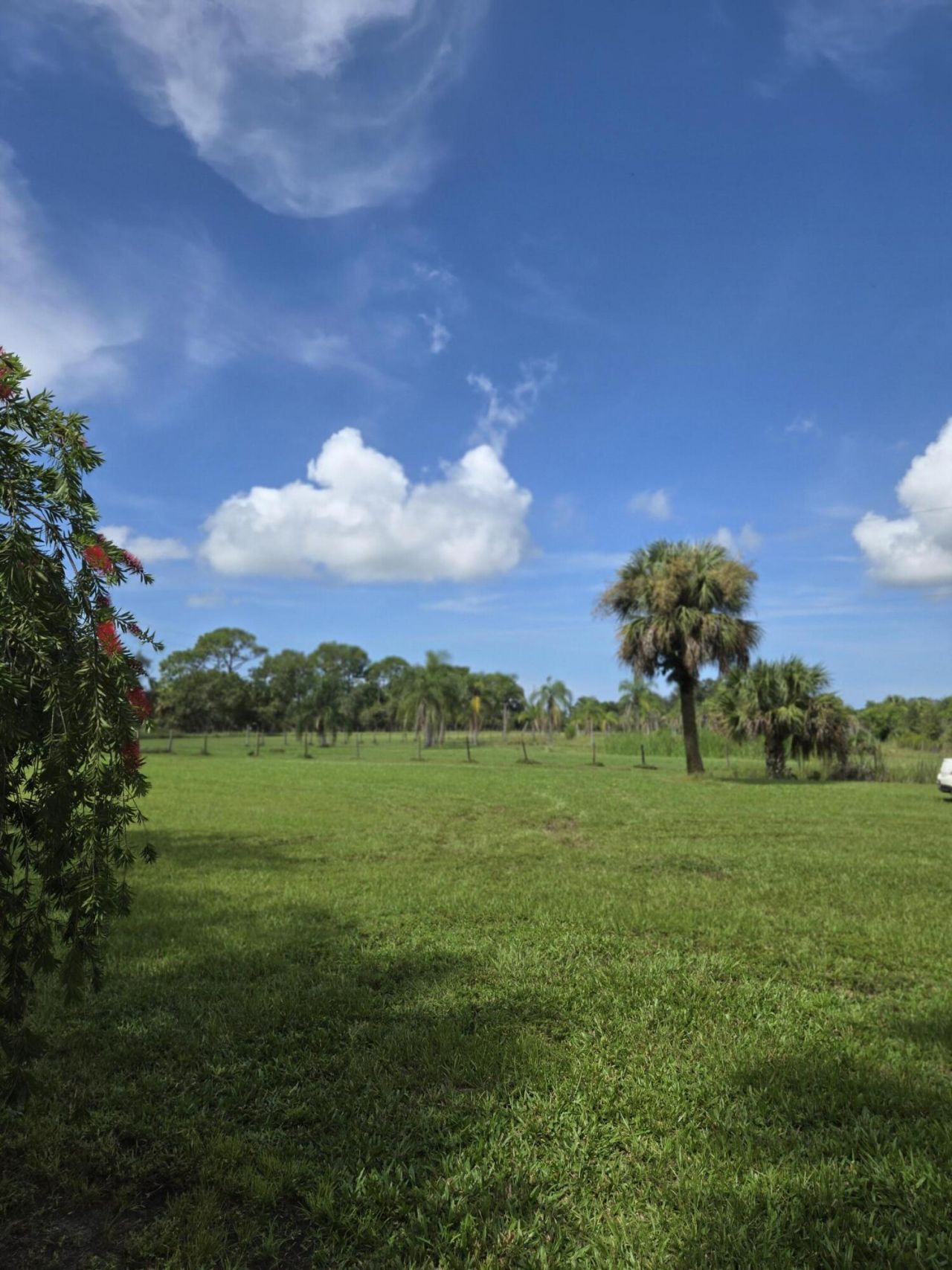 23101 SW Cardamine Street, Indiantown, FL 34956 Photo