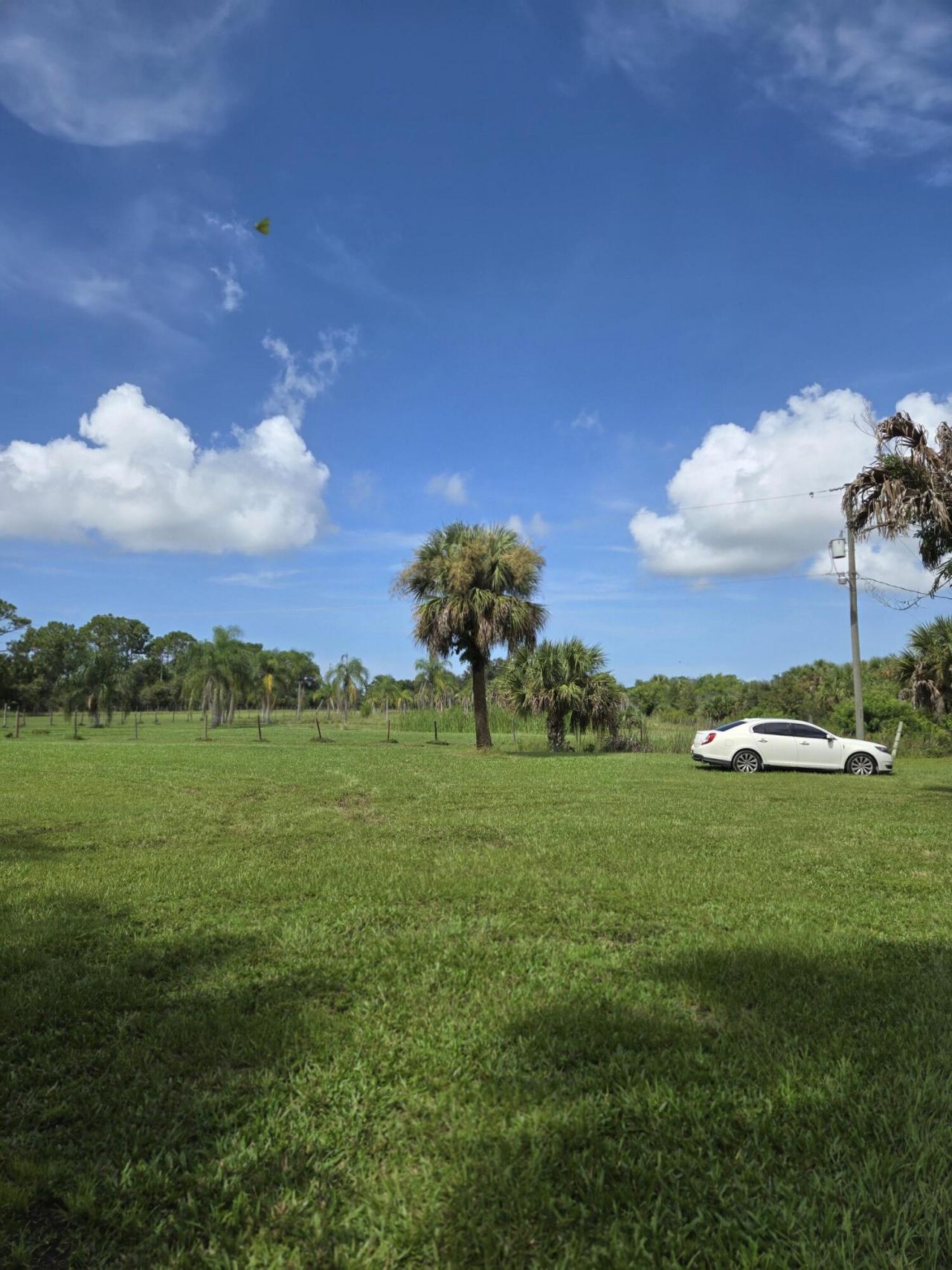 23101 SW Cardamine Street, Indiantown, FL 34956 Photo