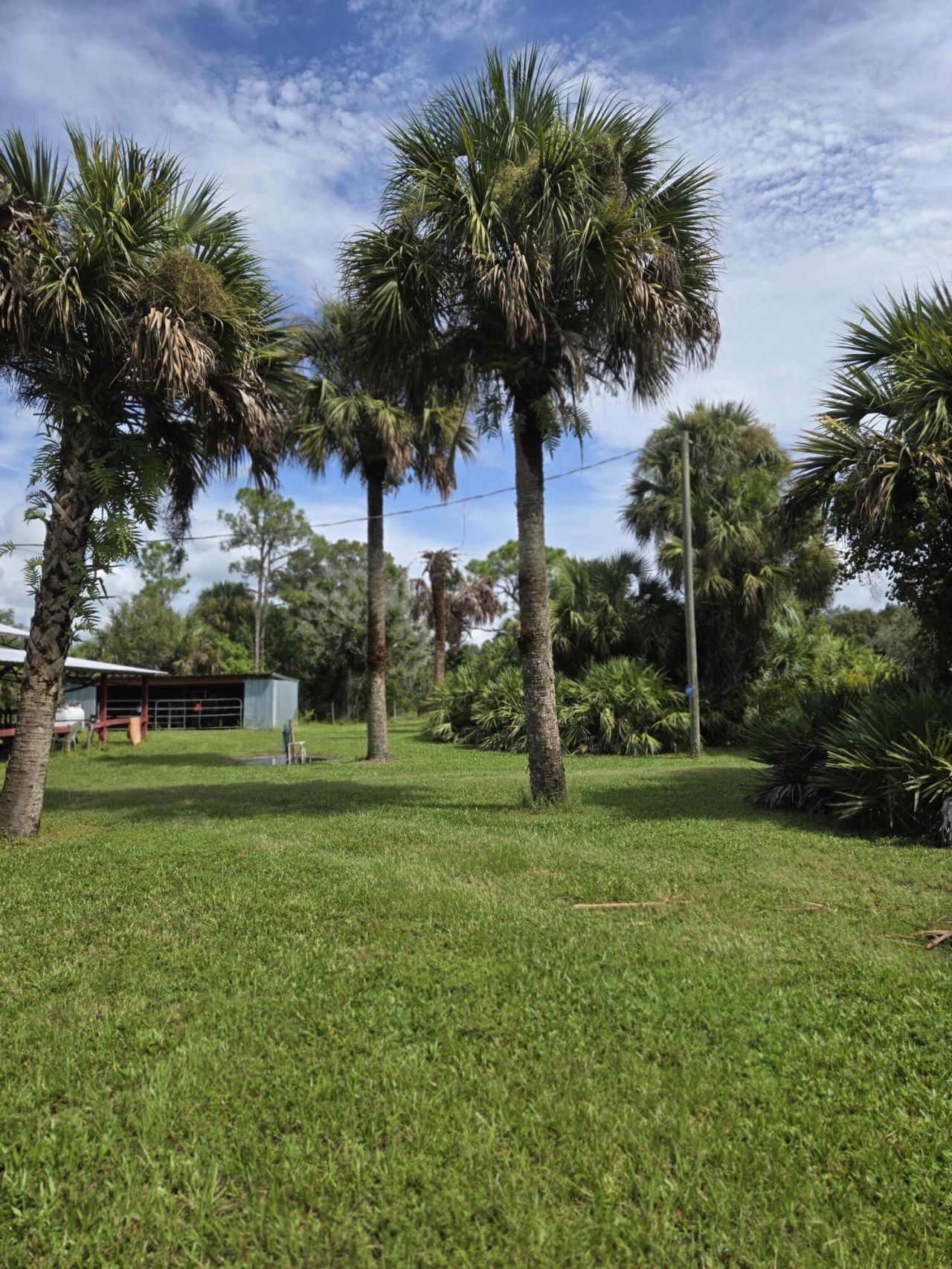 23101 SW Cardamine Street, Indiantown, FL 34956 Photo