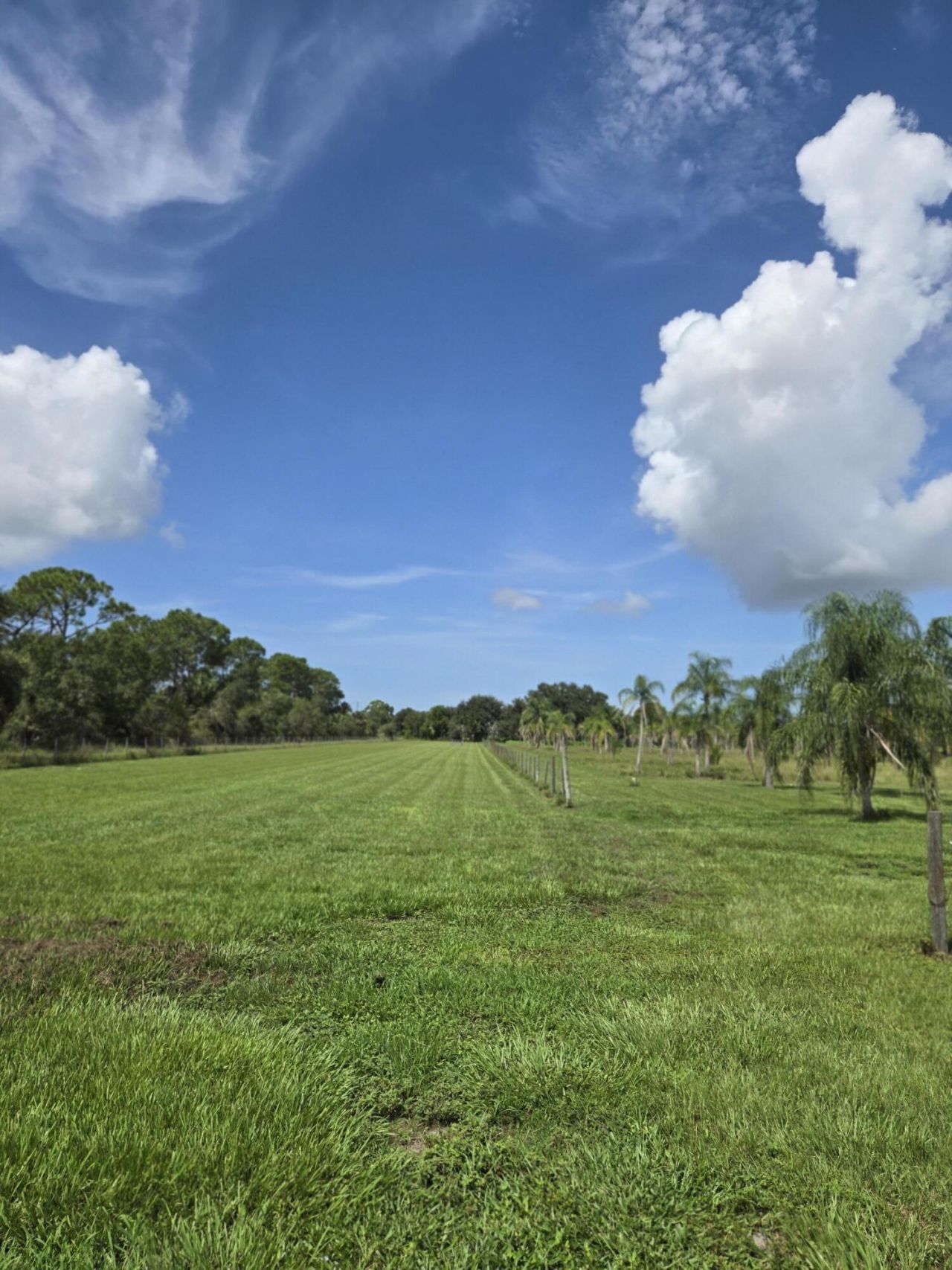 23101 SW Cardamine Street, Indiantown, FL 34956 Photo