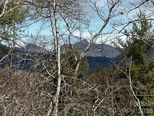 54 winghaven Drive , Nebo, NC 28761