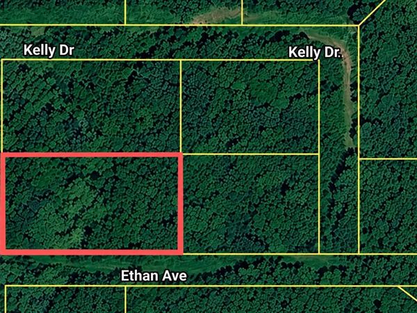 00 Laurel St, Russellville, AL 35653