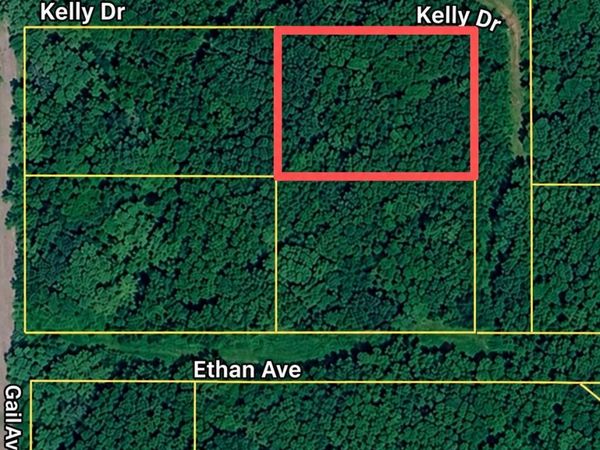 Robin St, Russellville, AL 35653