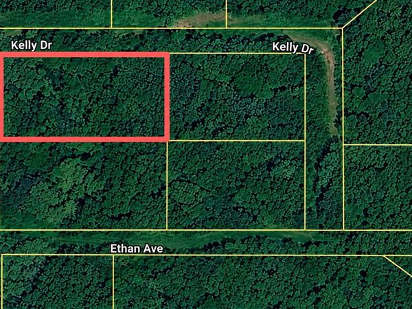 00 Robin St, Russellville, AL 35653