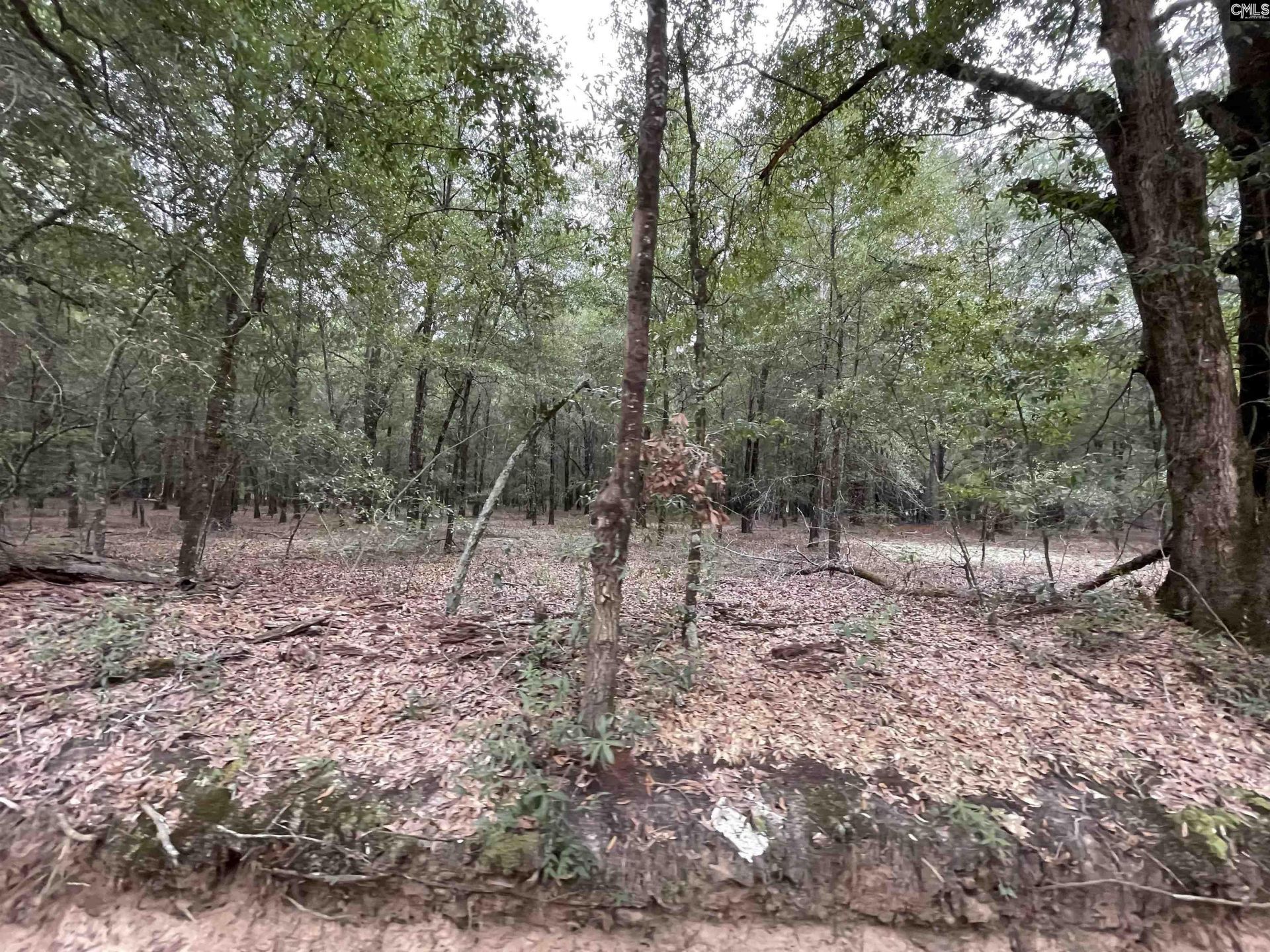 00 Warbonnet Road  Photo 6