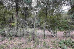 Lot A Warbonnet Road photo 4